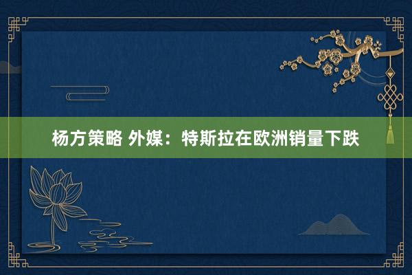 杨方策略 外媒：特斯拉在欧洲销量下跌