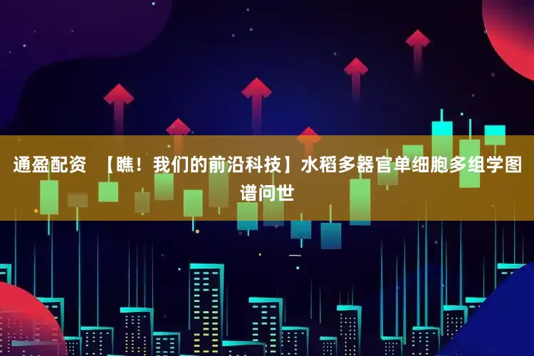 通盈配资  【瞧！我们的前沿科技】水稻多器官单细胞多组学图谱问世