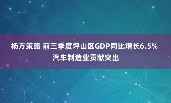 杨方策略 前三季度坪山区GDP同比增长6.5% 汽车制造业贡献突出