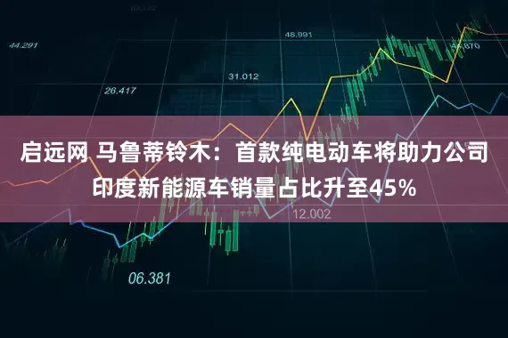 启远网 马鲁蒂铃木：首款纯电动车将助力公司印度新能源车销量占比升至45%